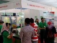 Promoting Camellia Residnece at BPEX PWTC